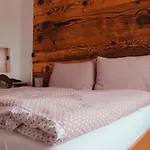 Hotel Alf Borovany (Ceske Budejovice)