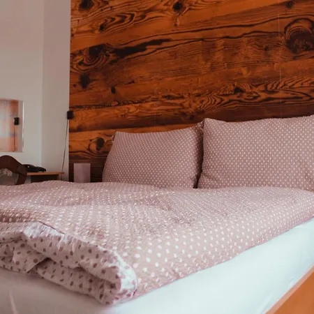 Hotel Alf Borovany (Ceske Budejovice)