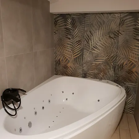 Alf 3* Borovany (Ceske Budejovice)