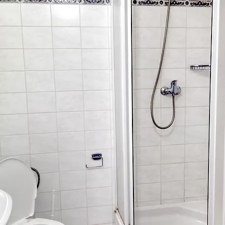 Hotel Alf Borovany (Ceske Budejovice)