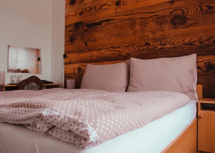 Hotell Alf Borovany (Ceske Budejovice)