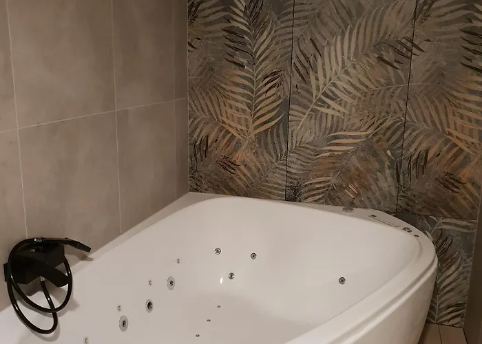 Alf 3* Borovany (Ceske Budejovice)