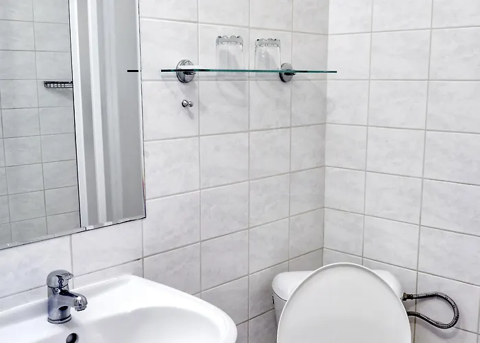 Alf 3* Borovany (Ceske Budejovice)